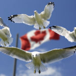 Fingerprint Room Canada background Fingerprint Room Canada background